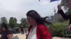 Rashida Tlaib Satffer Hits Fox News Crew with Umbrella