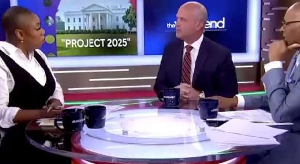 MSNBC Host SNAPS at Guests for Saying 'Illegal Immigrants:' 'We Don't Use That Term!'