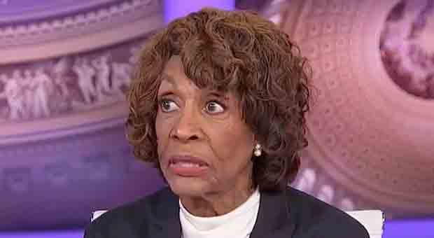 Deluded Maxine Waters Claims Kamala Harris Is 'Smarter than Donald Trump'