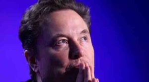 Elon Musk Warns Democrats Are Preparing to Use Non-Citizen Votes to Steal Election