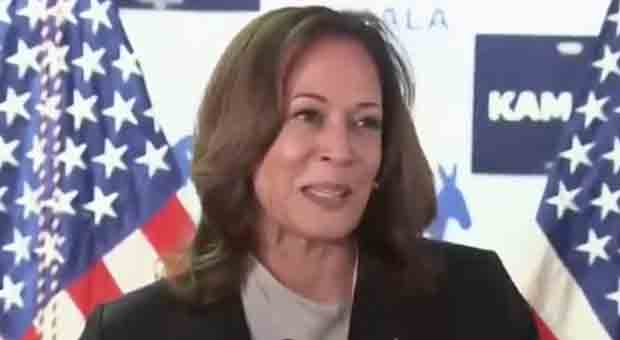 Kamala Harris Talks to Biden as If He's on His Deathbed during 'Odd' Phone Call