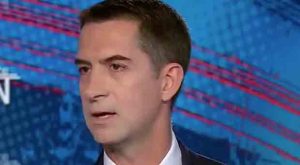 Tom Cotton: Kamala Harris is a 'San Francisco Liberal' Who Will Leave America Open to Attack