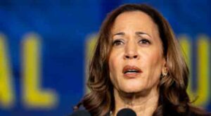 Longtime CNN Host Breaks Media Narrative by Calling Out Kamala Harris' 'Basement Strategy'