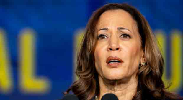 Longtime CNN Host Breaks Media Narrative by Calling Out Kamala Harris' 'Basement Strategy'