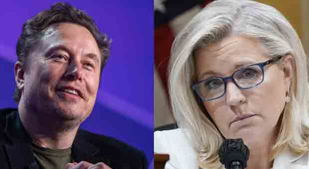 Elon Musk Destroys Liz Cheney's Presidential Endorsement with ONE Tweet from 2020